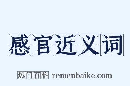 感官近义词是什么意思的图片